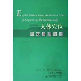 人体穴位层次解剖图谱（英汉对照）