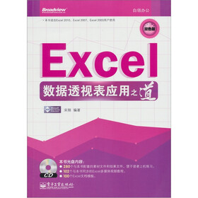 Excel数据透视表应用之道（含CD光盘1张）（双色）