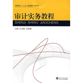 高职高专“十一五”规划教材·财会系列：审计实务教程