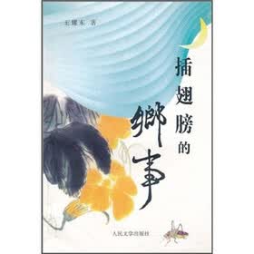 插翅膀的乡事