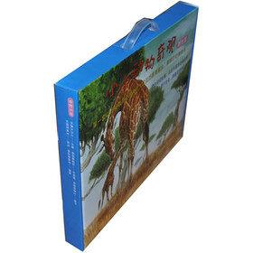 小小动物奇观：野生馆（礼盒装）（套装共5册）