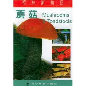 柯林斯精品：蘑菇