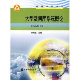 高等学校教材：大型数据库系统概论（Oracle 9i）