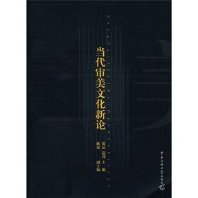 当代审美文化新论