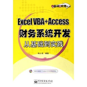 Excel VBA+Access财务系统开发从基础到实践（附光盘）