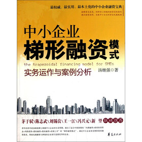 《中小企业梯形融资模式实务运作与案例分析》