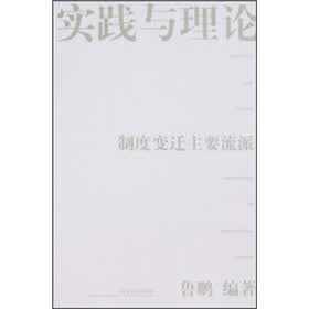 实践与理论:制度变迁主要流派