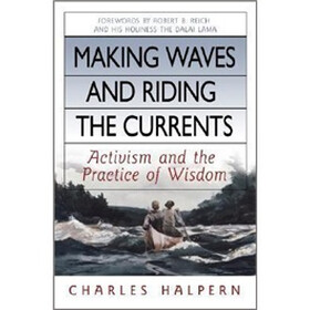 Making Waves and Riding the Currents: Activism and the Practice of Wisdom