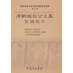 唐新城长公主墓发掘报告