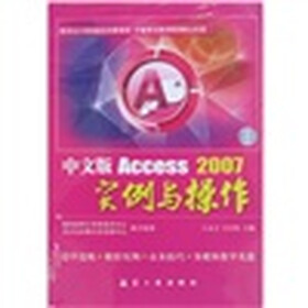 中文版Access2007 实例与操作