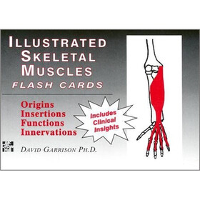 Illustrated Skeletal and Muscle Flash Cards