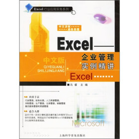 Excel：企业管理实例精讲