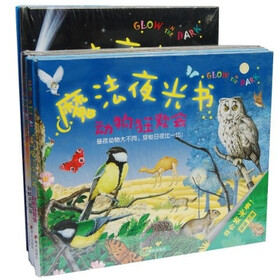 魔法夜光书（套装6册）