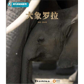 大象罗拉（随书赠大象罗拉DVD光盘及消失的家园系列明信片8张）