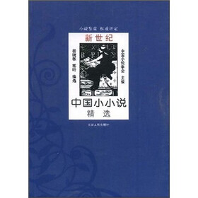 新世纪中国小小说精选
