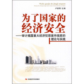 为了国家的经济安全：审计揭露重大经济犯罪案件线索的理论与实践
