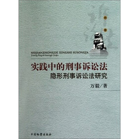 实践中的刑事诉讼法：隐形刑事诉讼法研究