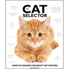 The Cat Selector: How to Choose the Right Cat for You