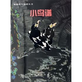 小鸟谱