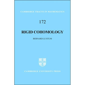 Rigid Cohomology