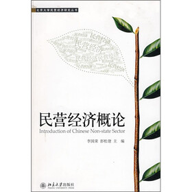 民营经济概论