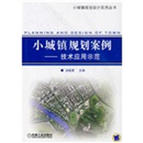小城镇规划案例：技术应用示范