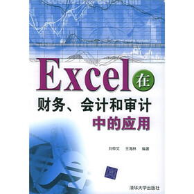 Excel在财务会计和审计中的应用