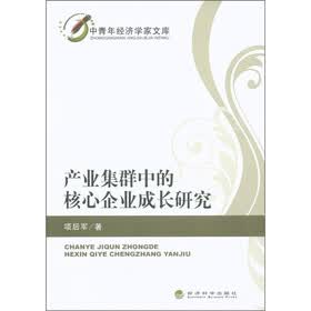 产业集群中的核心企业成长研究