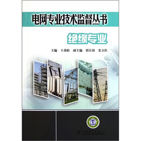 电网专业技术监督丛书：绝缘专业