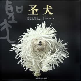 圣犬