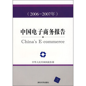 中国电子商务报告（2006-2007年）