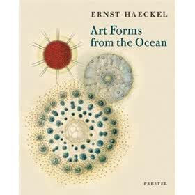 Art Forms from the Ocean: The Radiolarian Prints of E. Haeckel