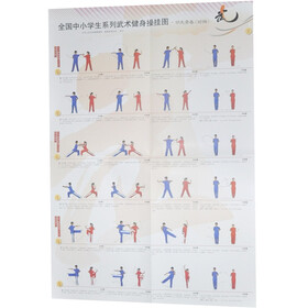 全国中小学生系列武术健身操挂图：功夫青春