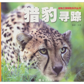 猎豹寻踪