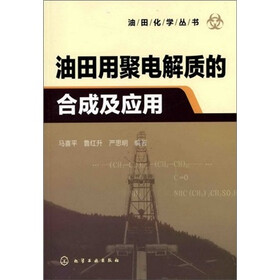 油田化学丛书：油田用聚电解质的合成及应用