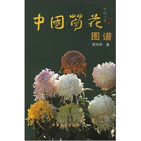 中国菊花图谱