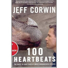 100 Heartbeats
