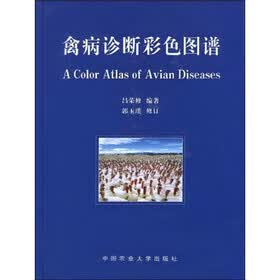 禽病诊断彩色图谱