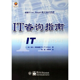solvento IT丛书：IT咨询指南