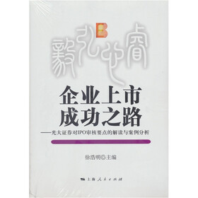 企业上市成功之路