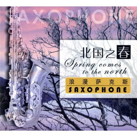 北国之春浪漫萨克斯黑胶唱片(CD) - 西洋乐器 