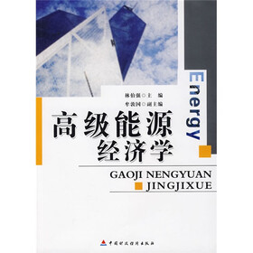 高级能源经济学