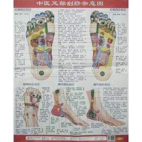 中医足部刮痧示意图