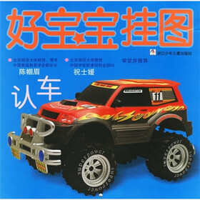好宝宝挂图：认车