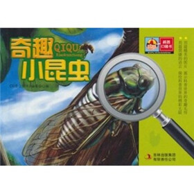科普口袋书第1辑：奇趣小昆虫