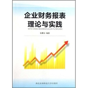 企业财务报表理论与实践