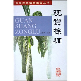 观赏棕榈