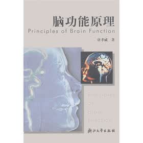 脑功能原理