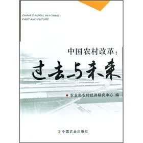 中国农村改革：过去与未来