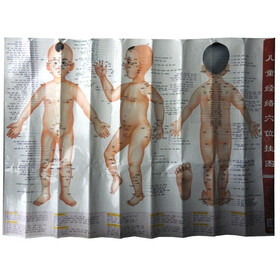 儿童经络穴位挂图（1张）（附解说册）
